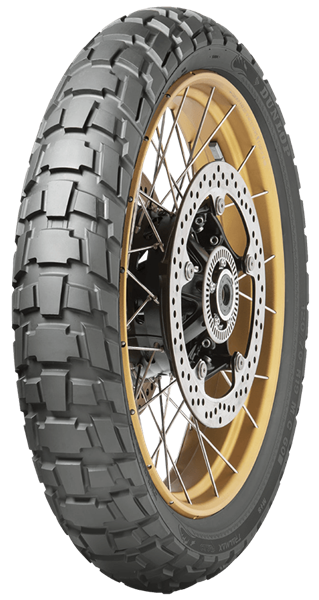 Dunlop Trailmax Raid 110/80 R19 59 T Delanteros TL M+S